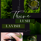 Flourish -The Complete Collection